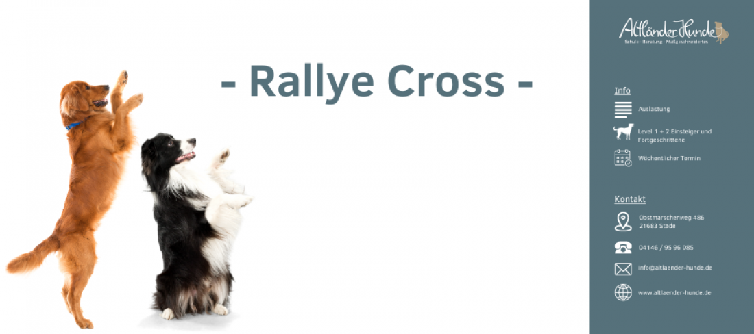 Rallye Cross