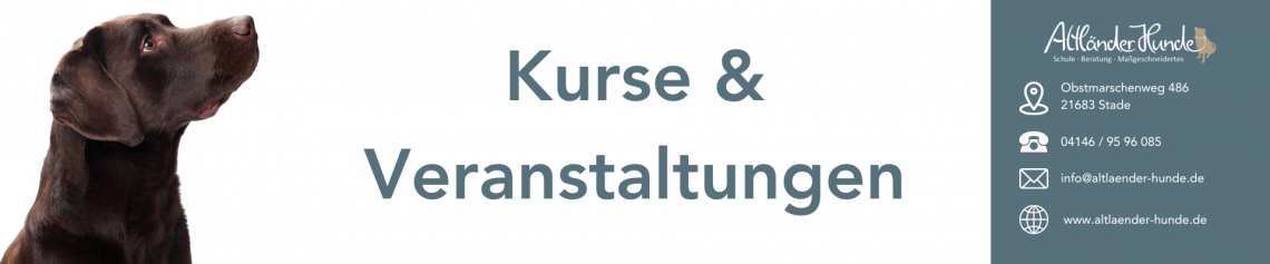 Kurse & Veranstaltungen