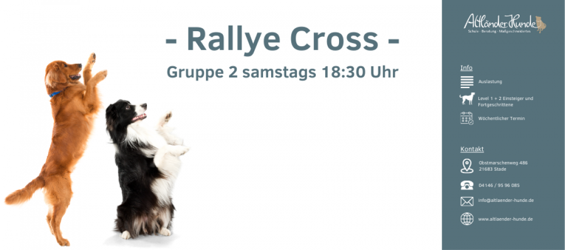 Rallye Cross Gruppe 2