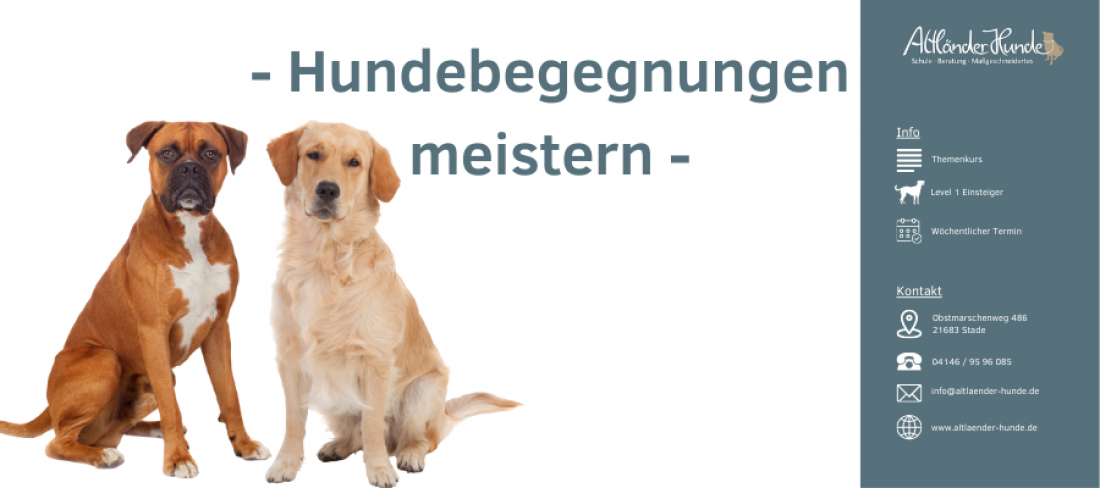 Kurs Hundebegegnungen meistern