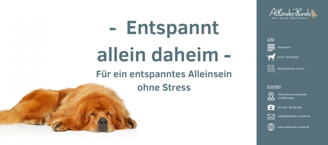 Onlinekurs Entspannt allein daheim