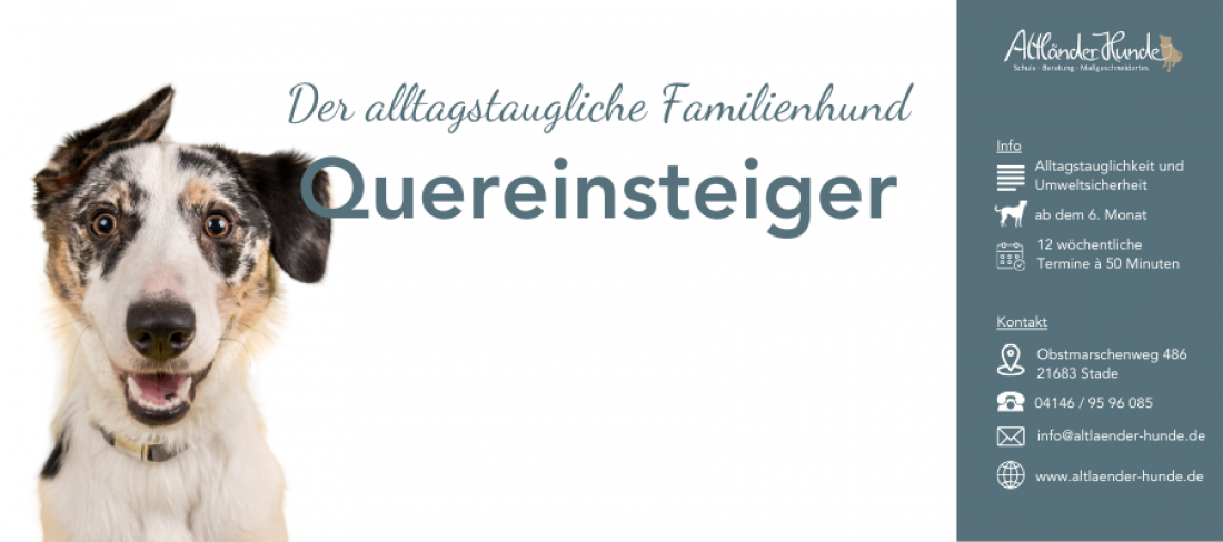 Der alltagstaugliche Familienhund - Quereinsteiger