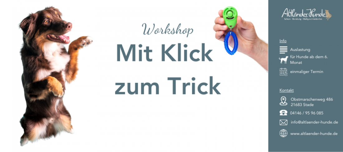 Workshop Mit Klick zum Trick