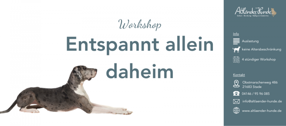 Workshop Entspannt allein daheim