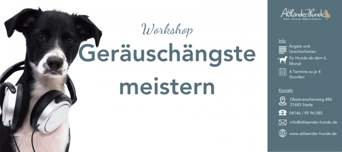 Workshop Geräuschängste meistern