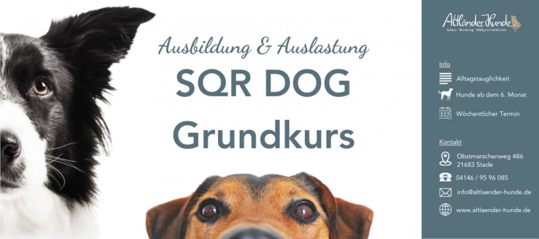 Kurs SQR Dog für Einsteiger