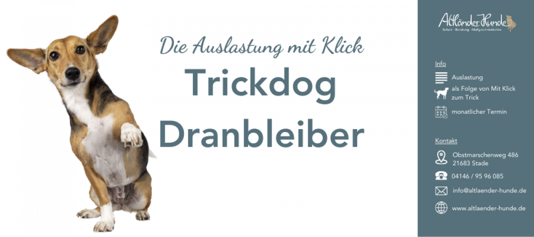 Trickdog Dranbleiber