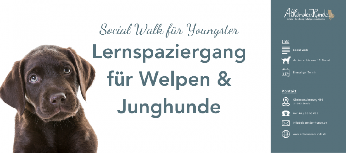 Social Walk für Youngster