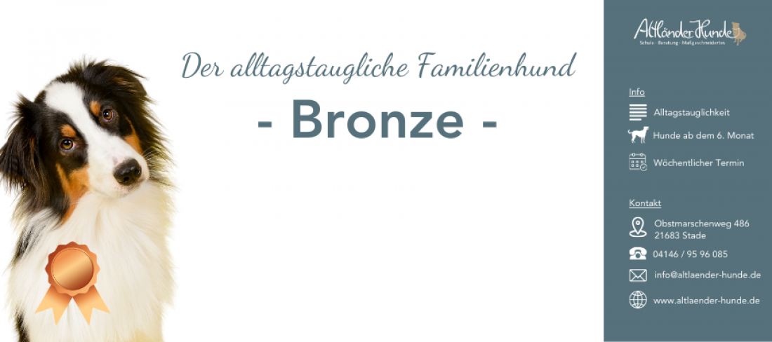 Der alltagstaugliche Familienhund - Bronze