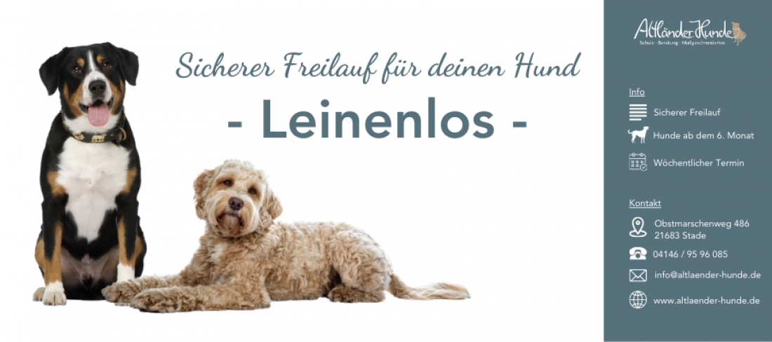 Kurs Leinenlos - sicher im Freilauf