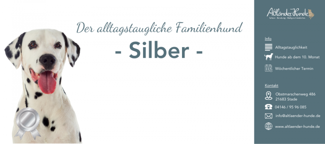 Der alltagstaugliche Familienhund - Silber