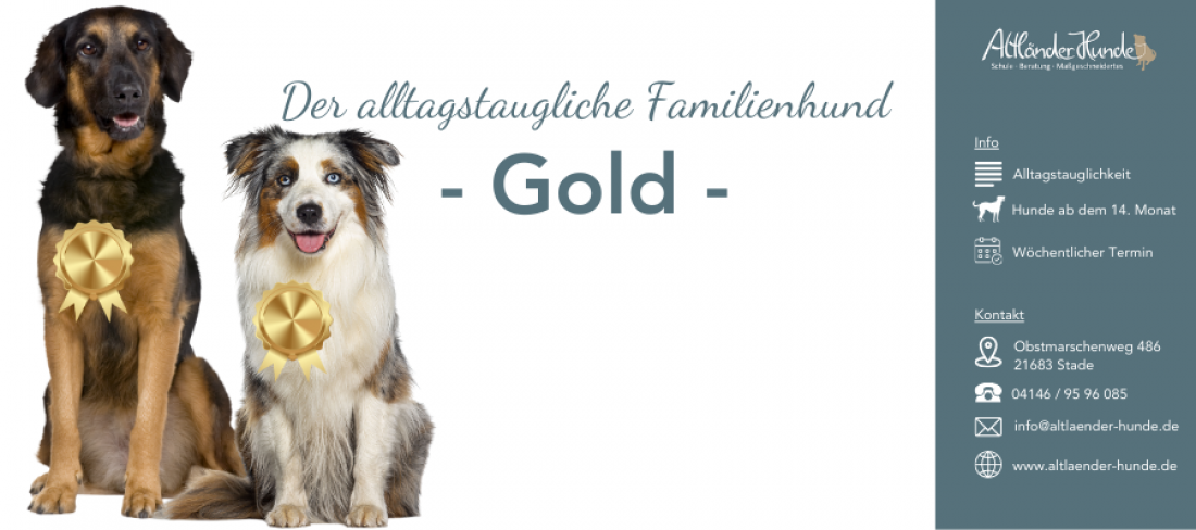 Der alltagstaugliche Familienhund - Gold