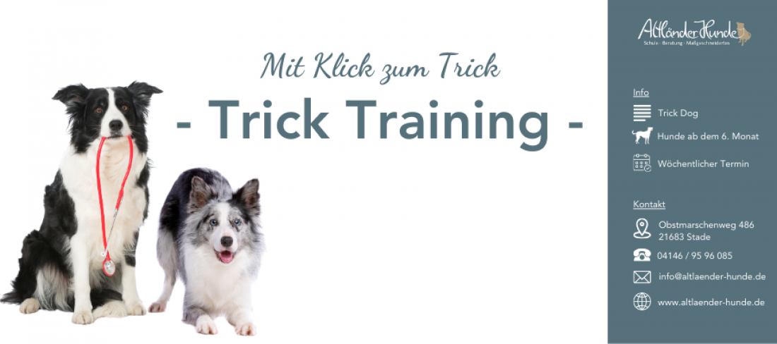 Trick Training