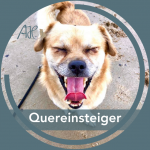 Quereinsteiger - neue Gruppe mit freien Plätzen