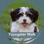 Social Walk für unsere Youngster am 18.10.24