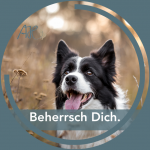 Beherrsch Dich. - neuer Kurs mit freien Plätzen