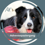 Adventsspaziergang am 15.12.24