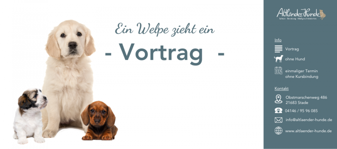 Ein Welpe zieht ein - Vortrag