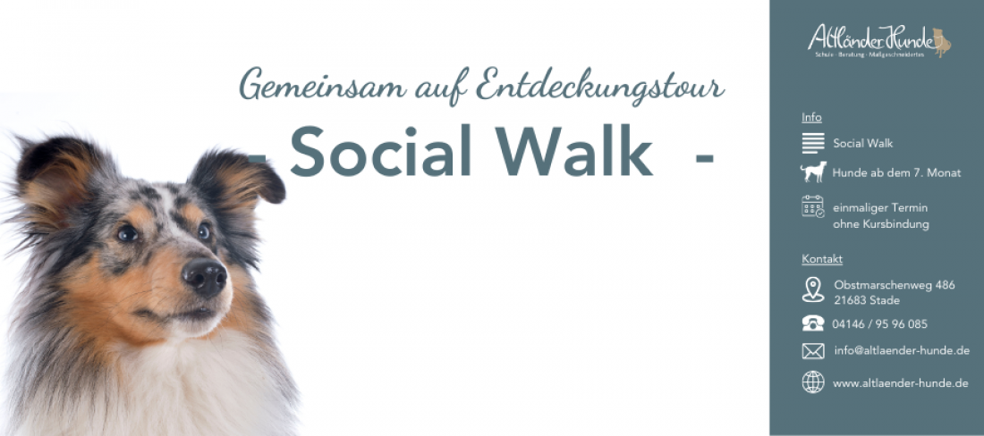 Social Walk