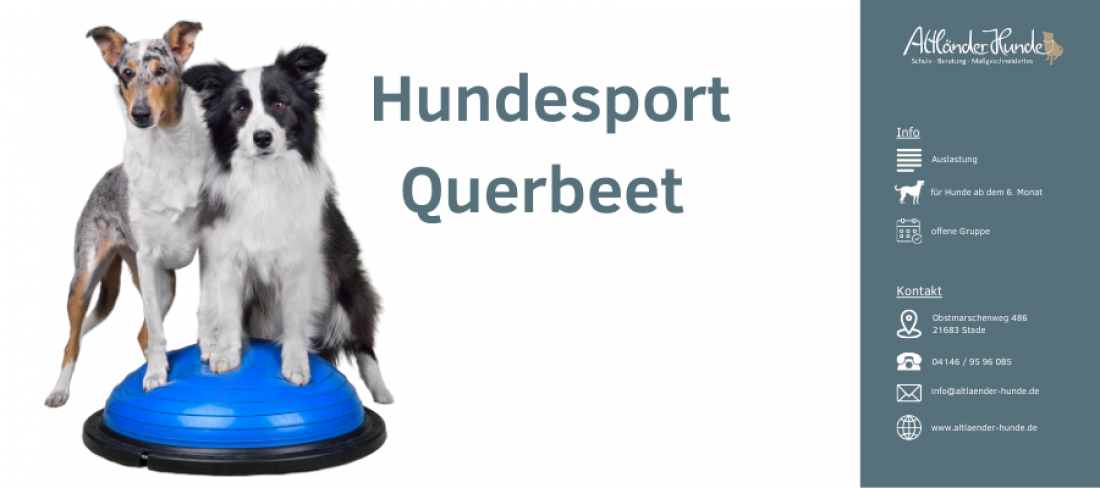 Hundesport Querbeet