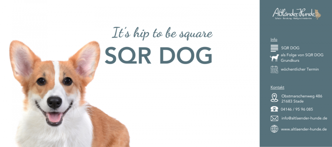 SQR DOG