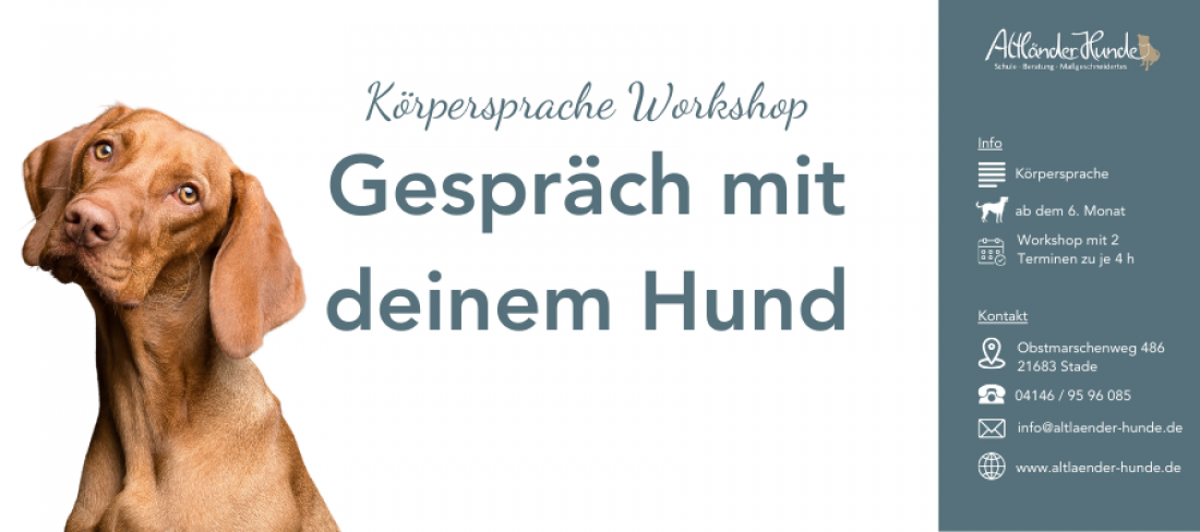 Workshop Körpersprache - Gespräch mit deinem Hund