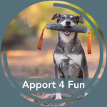 Neuer Kurs: Apport 4 Fun