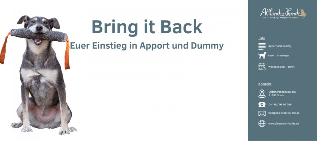 Kurs Bring it Back
