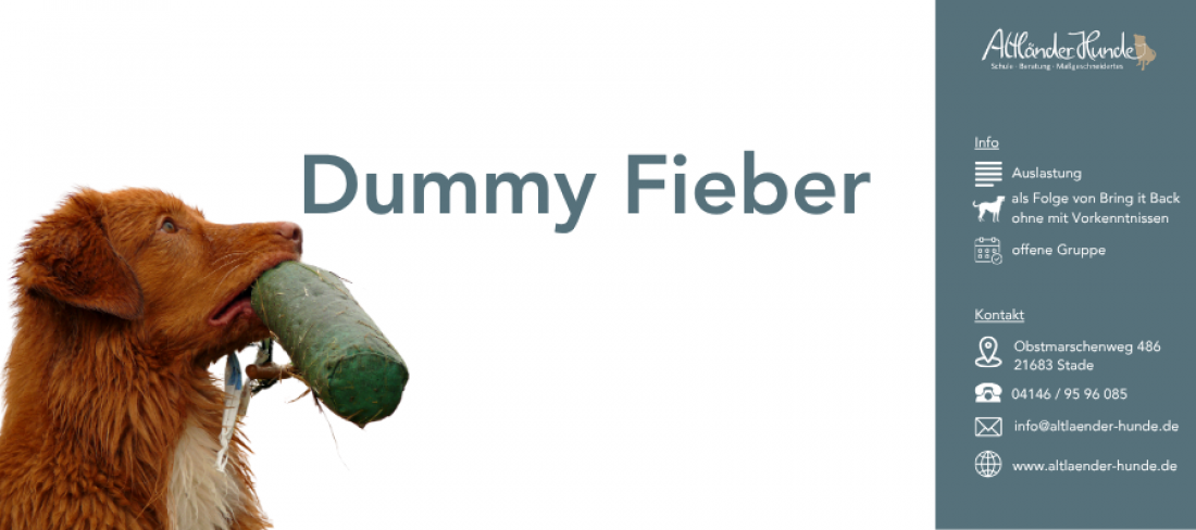 Dummyfieber