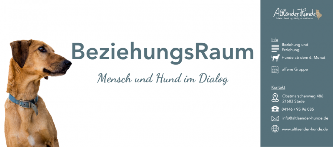 BeziehungsRaum - Mensch und Hund im Dialog