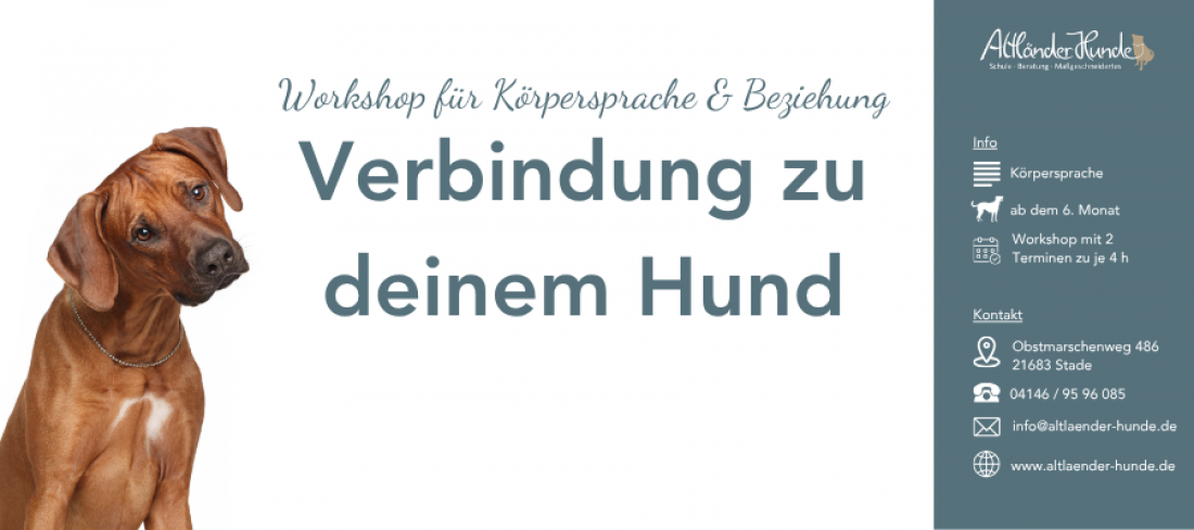 Workshop Verbindung zu deinem Hund - mit Körpersprache und Beziehung zu mehr Verbundenheit an der Leine