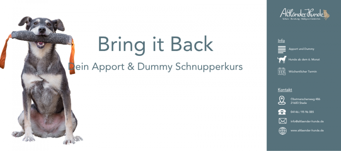 Bring it Back - Dein Apport und Dummy Schnupperkurs 