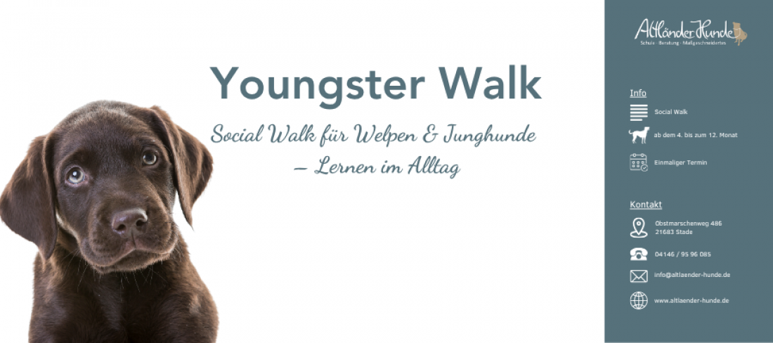 Social Walk für Welpen & Junghunde – Lernen im Alltag