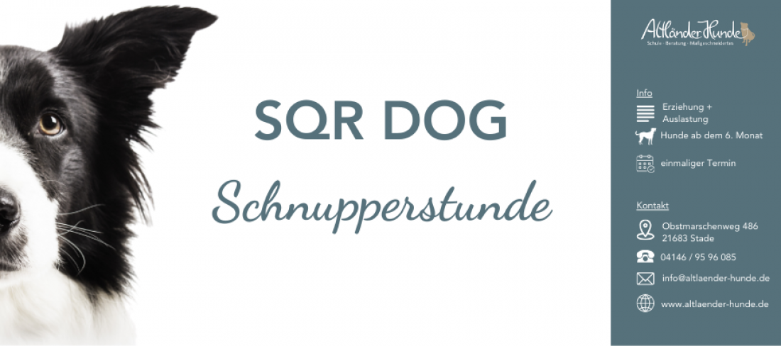 SQR Dog Schnupperstunde