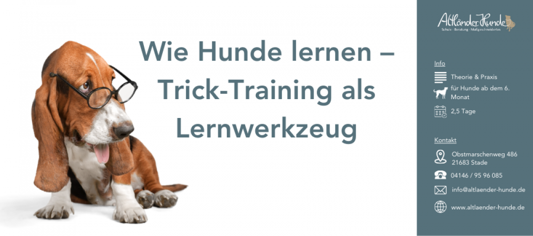 Workshop: Wie Hunde lernen – Trick-Training als Lernwerkzeug