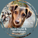 📅 Neue Kurse & Workshops – jetzt entdecken
