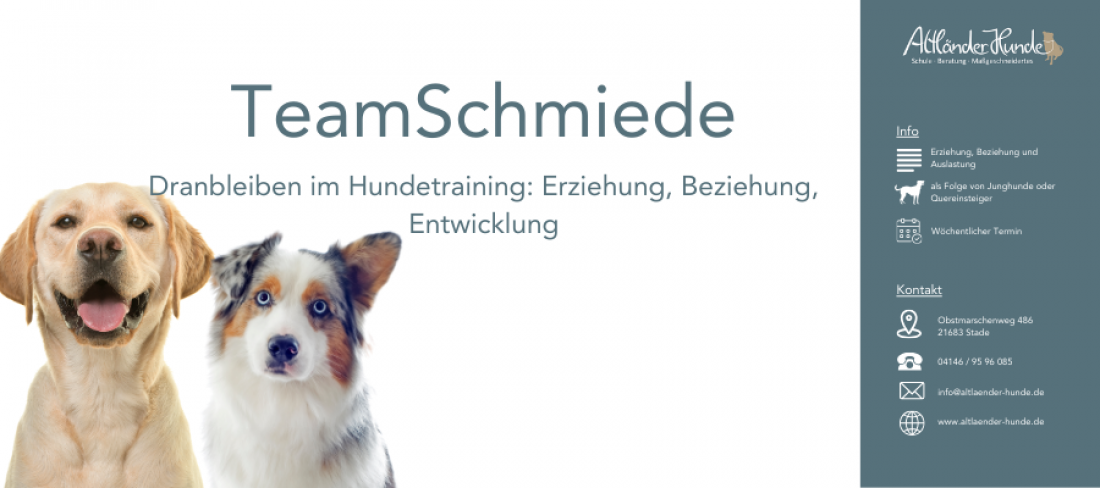TeamSchmiede - dranbleiben & weiterwachsen
