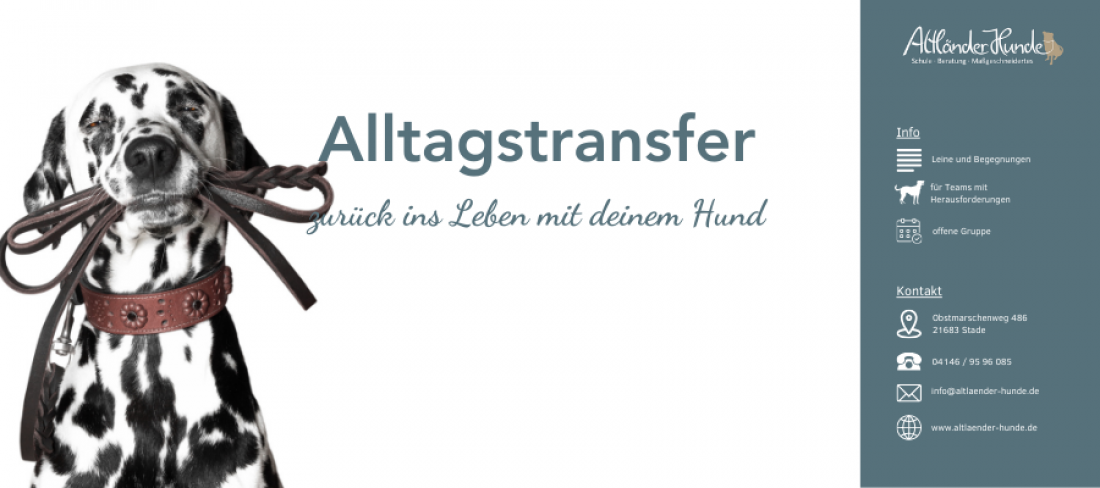 Alltagstransfer - zurück ins Leben mit deinem Hund