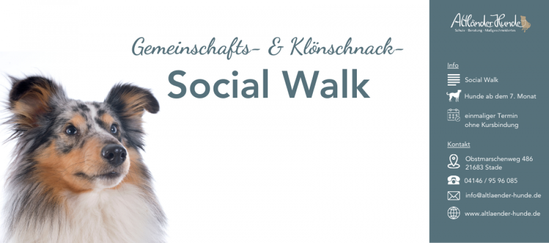 Social Walk: Gemeinschafts- und Klönschnack Walk