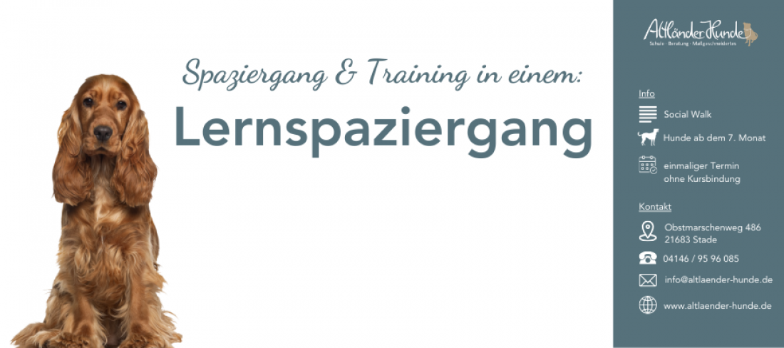 Social Walk: Lernspaziergang