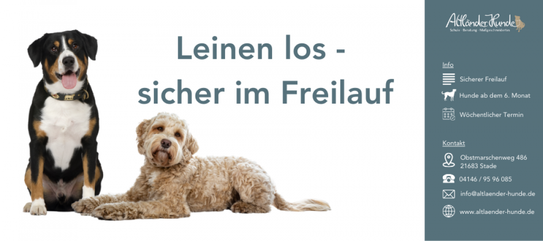 Leinen los - sicher im Freilauf (Warteliste)
