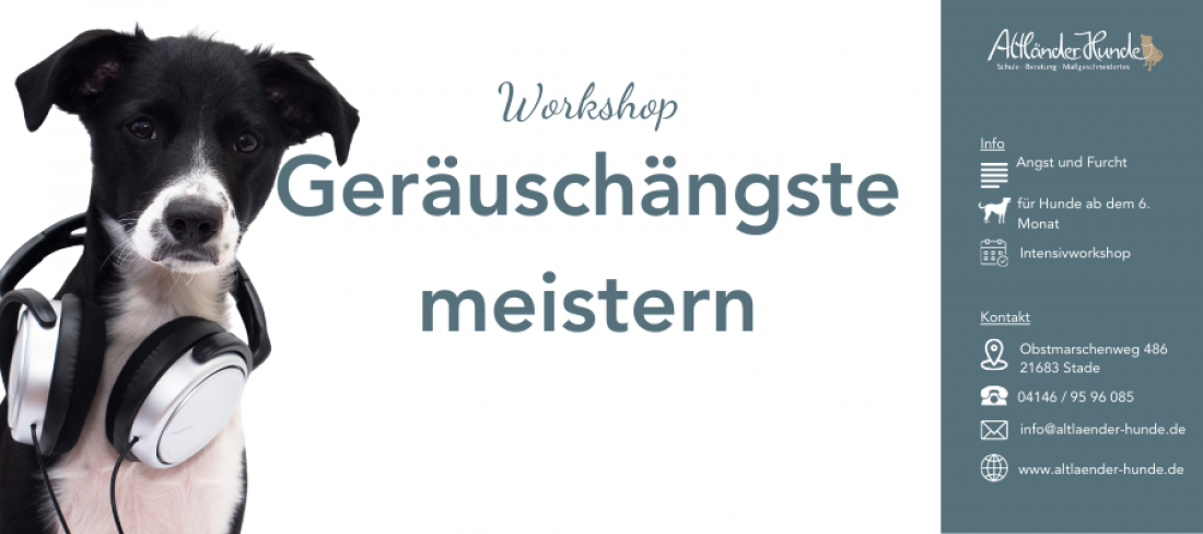 Workshop Geräuschängste meistern – Warteliste