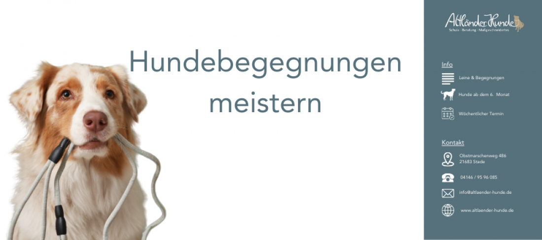 Hundebegegnungen meistern - Warteliste