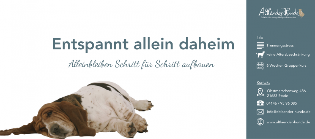 Entspannt allein daheim