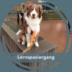 🚆 Lernspaziergang: Bahn, Stadt & Café