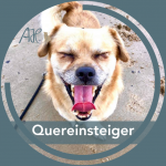 Freier Platz in der Quereinsteigergruppe am Samstag