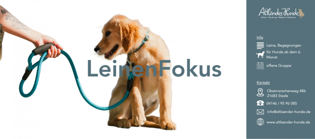 LeinenFokus: Orientierung, Führung & Begegnung