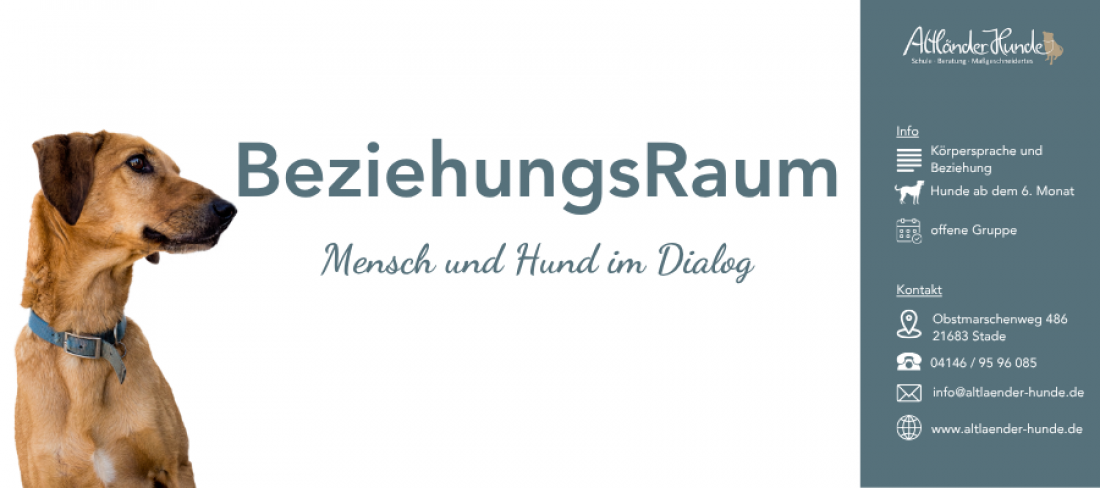 BeziehungsRaum – Mensch und Hund im Dialog