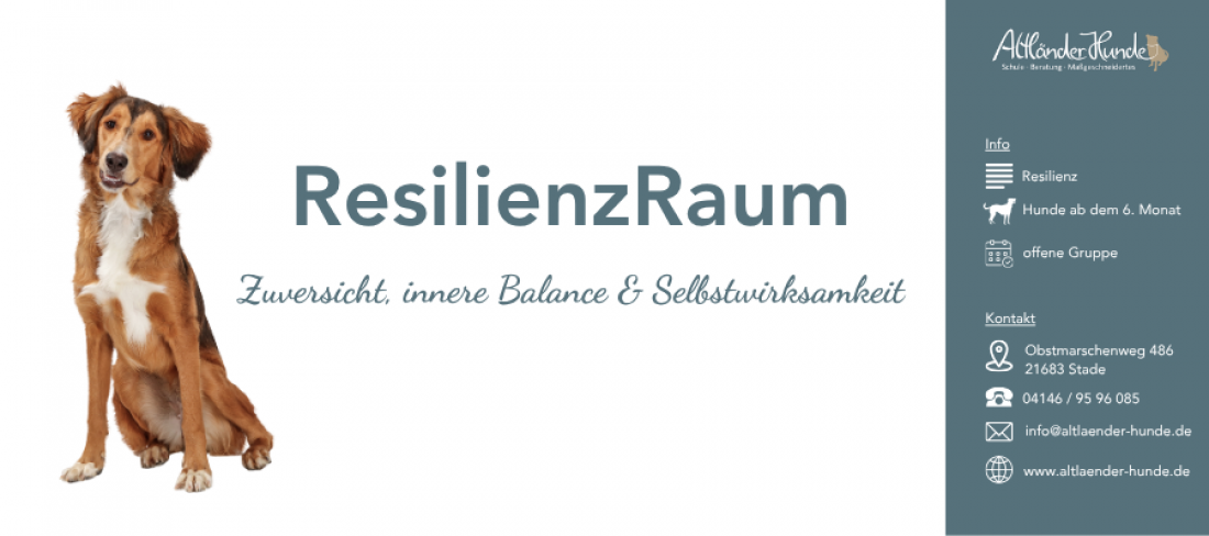 ResilienzRaum - Zuversicht, innere Balance & Selbstwirksamkeit